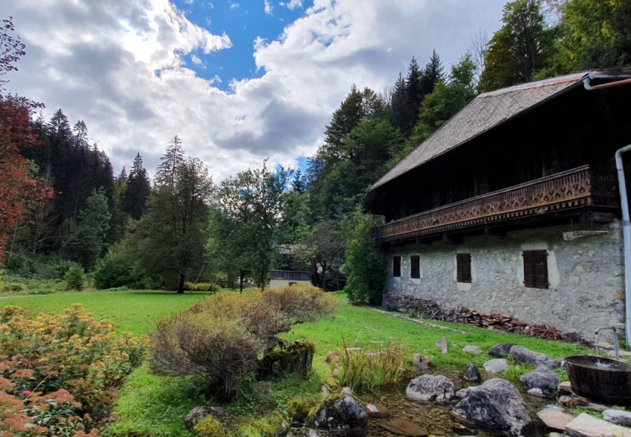 Chalet in Montriond - Chébourins