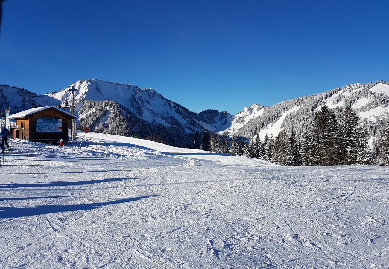 Appartement à Saint-Jean-d´Aulps - Panoramic 9